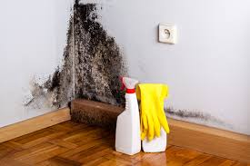 Best Industrial Mold Remediation  in Twin Grove, IL